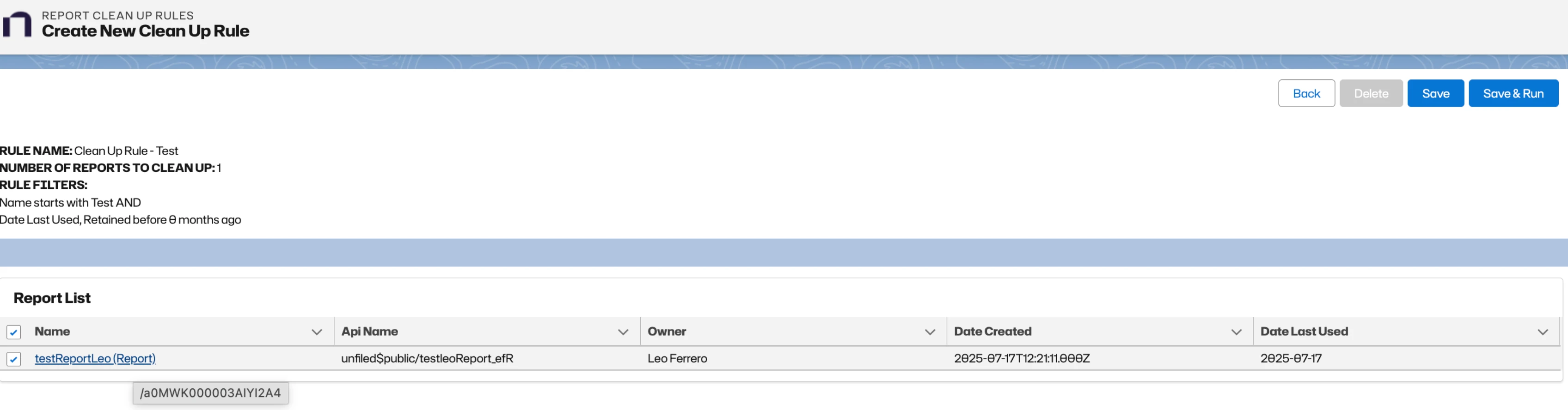 automated_report_cleanup_preview