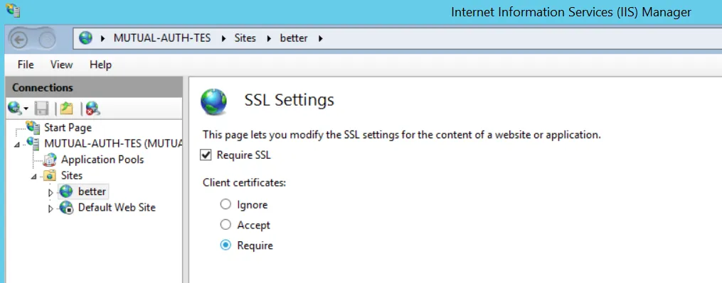 IIS Require SSL Certificate