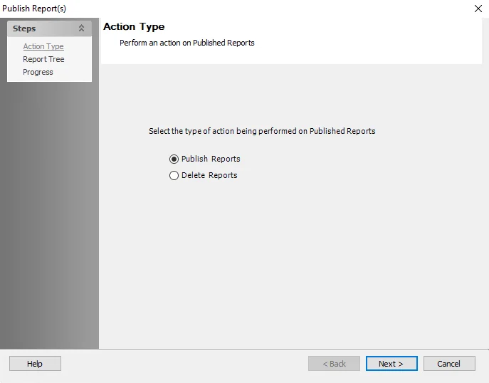 Publish Reports wizard Action Type page