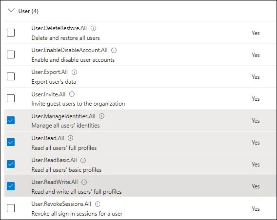 Microsoft Entra ID Application Permissions - User
